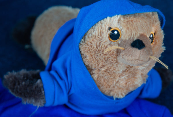 The AGU23 mascot, a stuffed sea lion toy wearing a blue hoodie